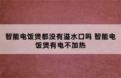 智能电饭煲都没有溢水口吗 智能电饭煲有电不加热